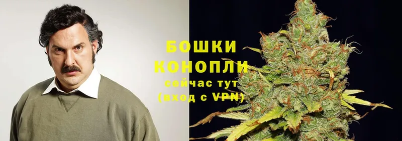 Канабис White Widow  Ленинск 